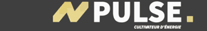 logo pulse